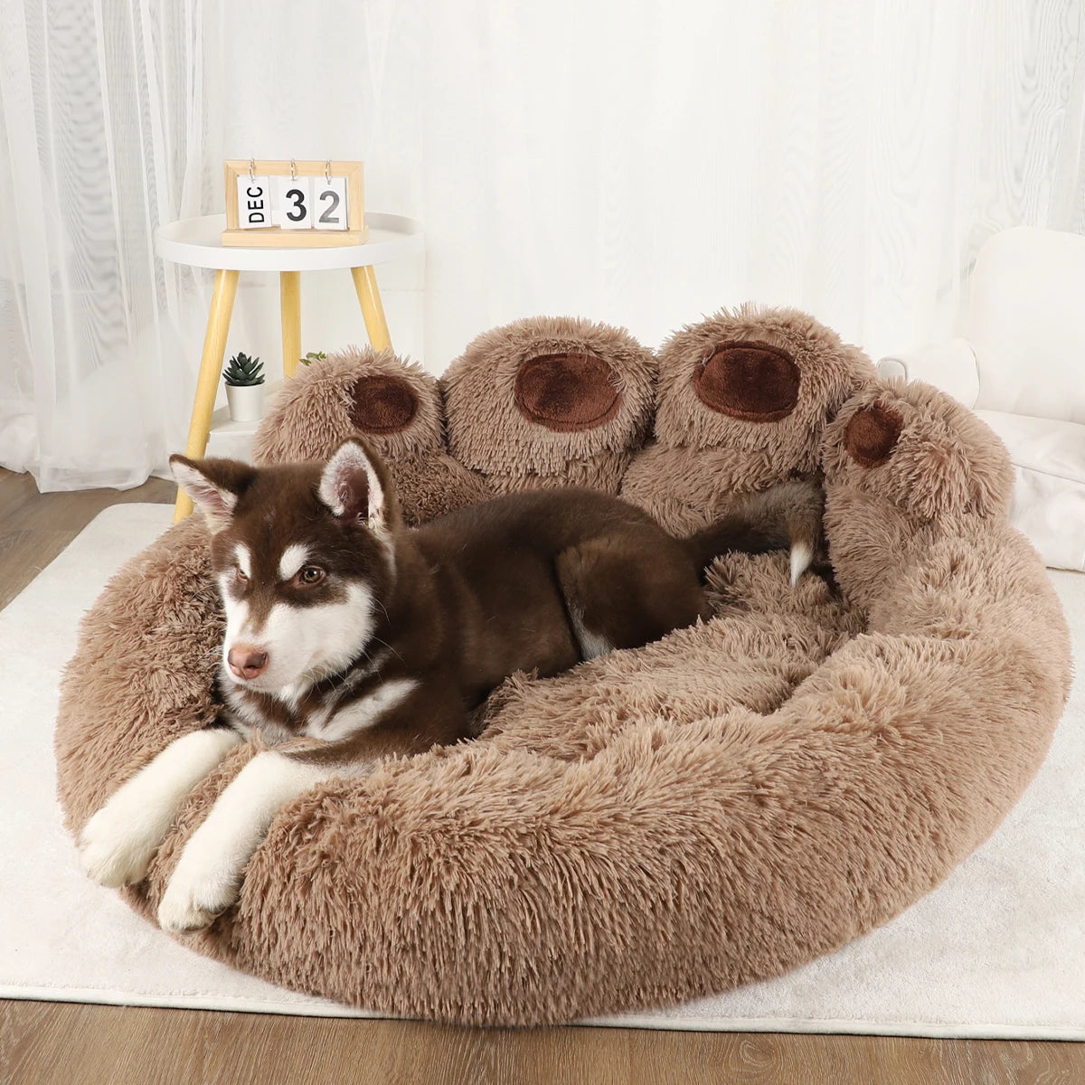 Pet Dog Sofa Beds for Small Dogs Warm